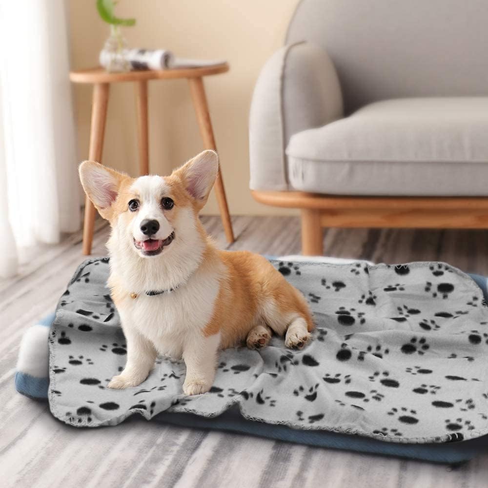 Pet Blankets Preview